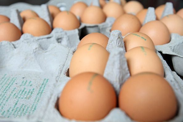 Organic Chicken Farms Cited For Overcrowding